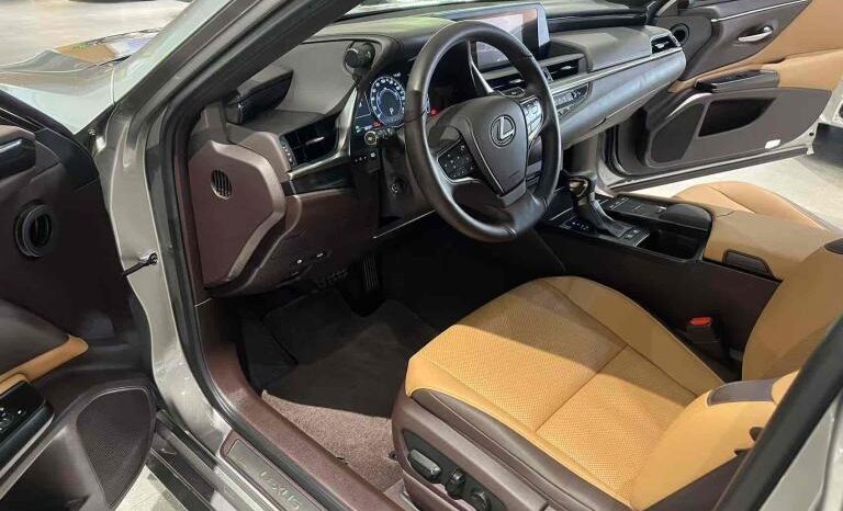 
								Lexus ES 2018 300h Premium Edition, National VI full									
