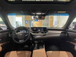 
										Lexus ES 2018 300h Premium Edition, National VI full									