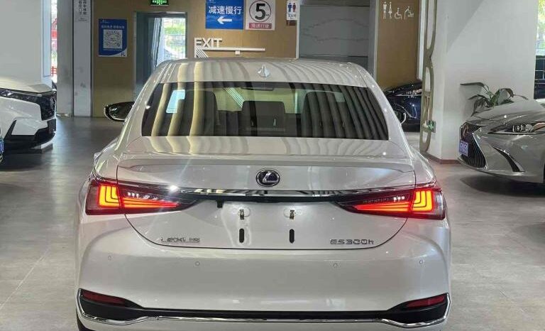 
								Lexus ES 2018 300h Premium Edition, National VI full									