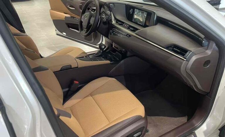 
								Lexus ES 2018 300h Premium Edition, National VI full									