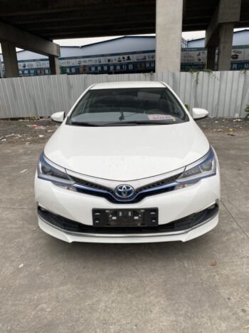 Corolla  corolla  Hybrid E+